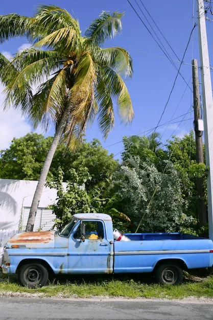 Martinique